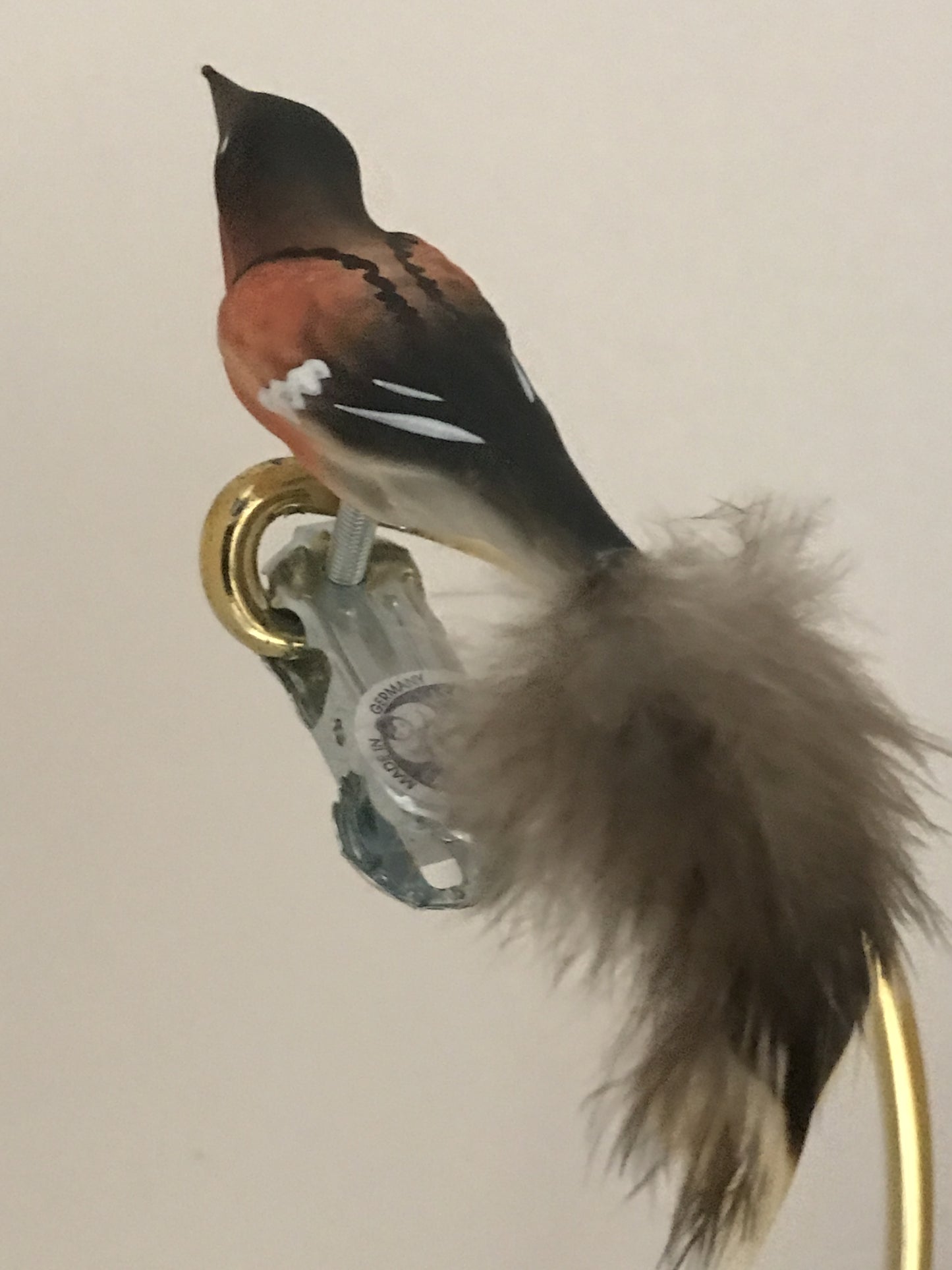 15561
