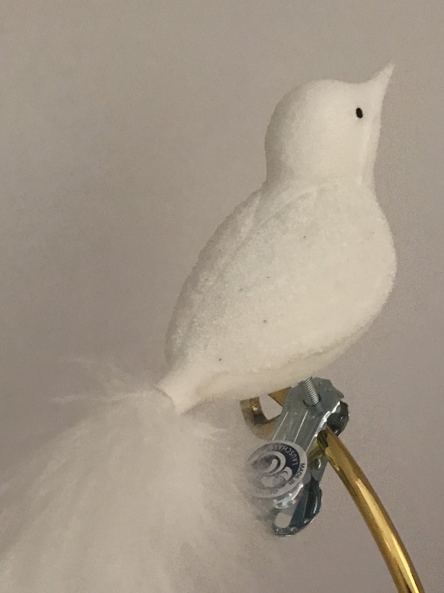 15646