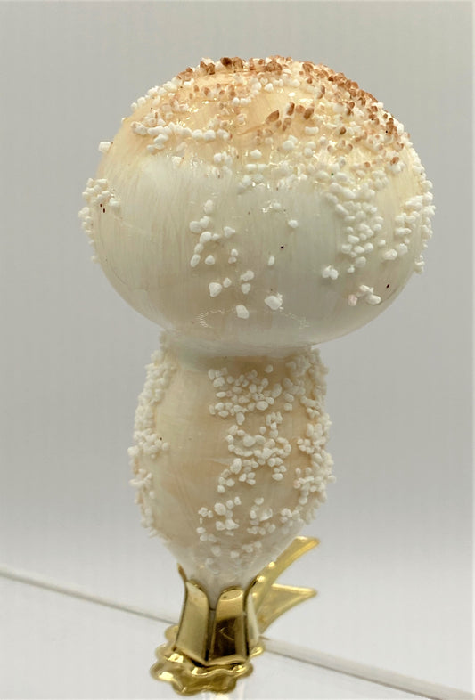 Baumschmuck-Christbaumschmuck-Bovist-Pilz-weihnachts-deko-ch-Galerie-Luechinger-2