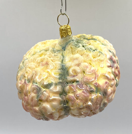 Baumschmuck-Christbaumschmuck-Hirn-Gehirn-Gedaechtnis-Medizin-weihnachts-deko-ch-Galerie-Luechinger-1