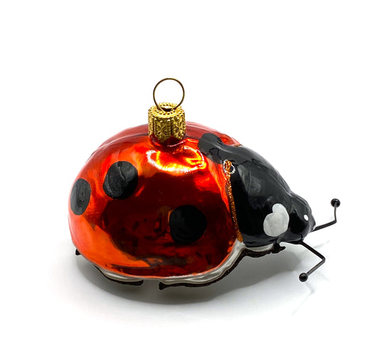 Baumschmuck-Christbaumschmuck-Marienkaefer-Glueckskaefer-Glueckssymbol-weihnachts-deko-ch-Galerie-Luechinger-2El7Ij893Up16a