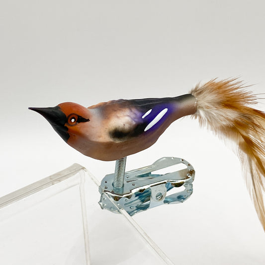 Baumschmuck-Christbaumschmuck-Weihnachtsvoegelchen-Kernbeisser-weihnachts-deko-ch-Galerie-Luechinger2