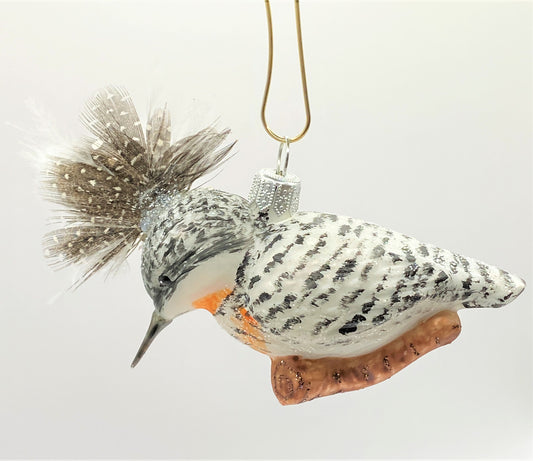 Baumschmuck-Christbaumschmuck-lustiger-Wiedehopf-weihnachts-deko-ch-Galerie-Luechinger-2