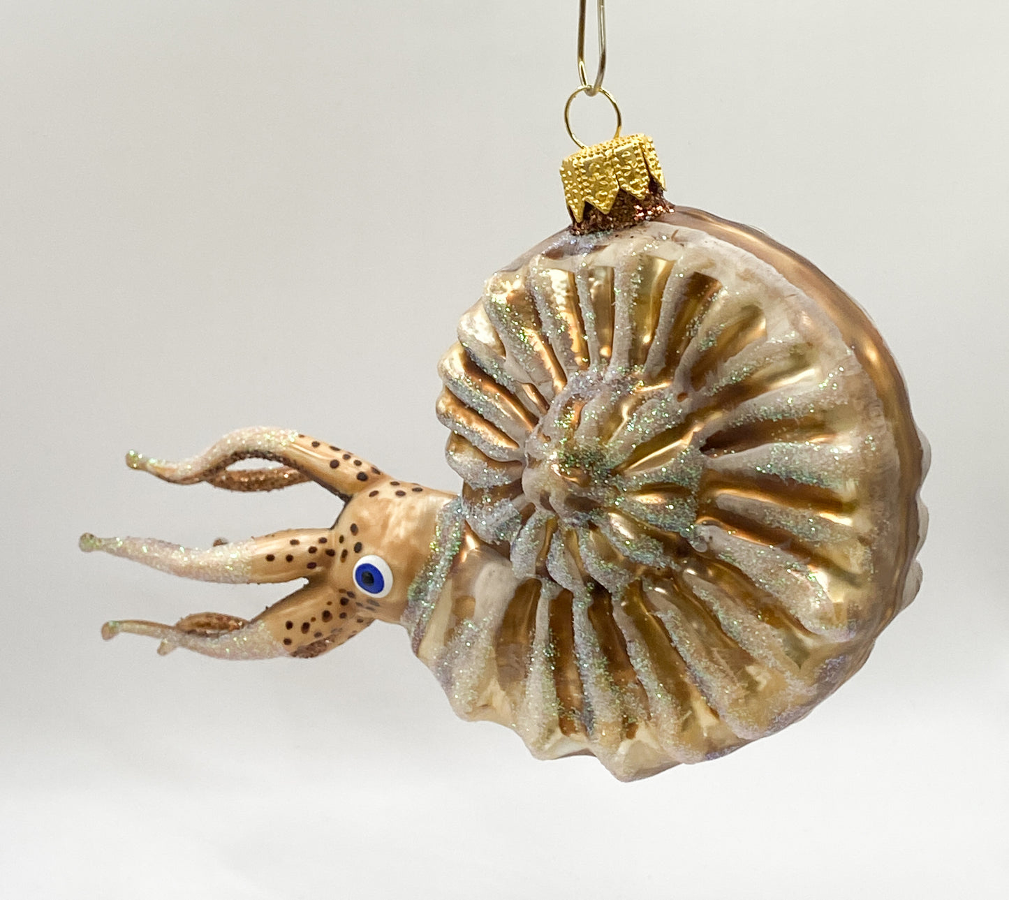 Baumschmuck-Christbaumschmuck-nautilus-tintenfisch-kopffuesser-meer-weihnachts-deko-ch-Galerie-Luechinger3