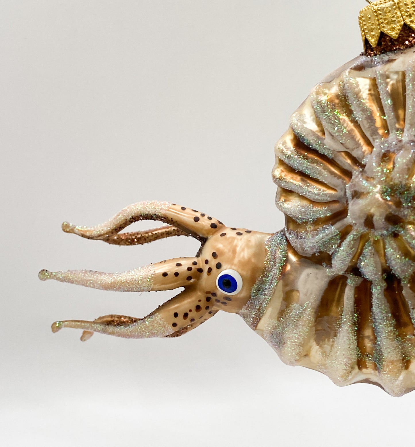 Baumschmuck-Christbaumschmuck-nautilus-tintenfisch-kopffuesser-meer-weihnachts-deko-ch-Galerie-Luechinger4