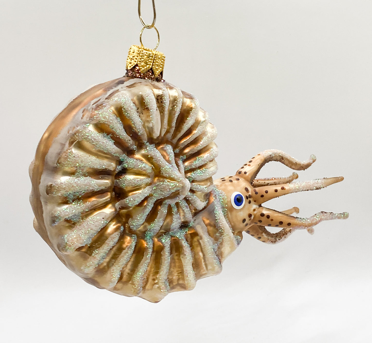 Baumschmuck-Christbaumschmuck-nautilus-tintenfisch-kopffuesser-meer-weihnachts-deko-ch-Galerie-Luechinger6
