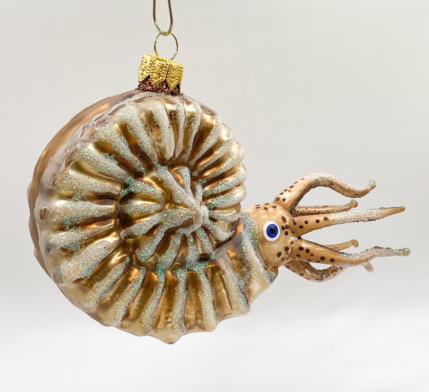 Baumschmuck-Christbaumschmuck-nautilus-tintenfisch-kopffuesser-meer-weihnachts-deko-ch-Galerie-Luechinger7