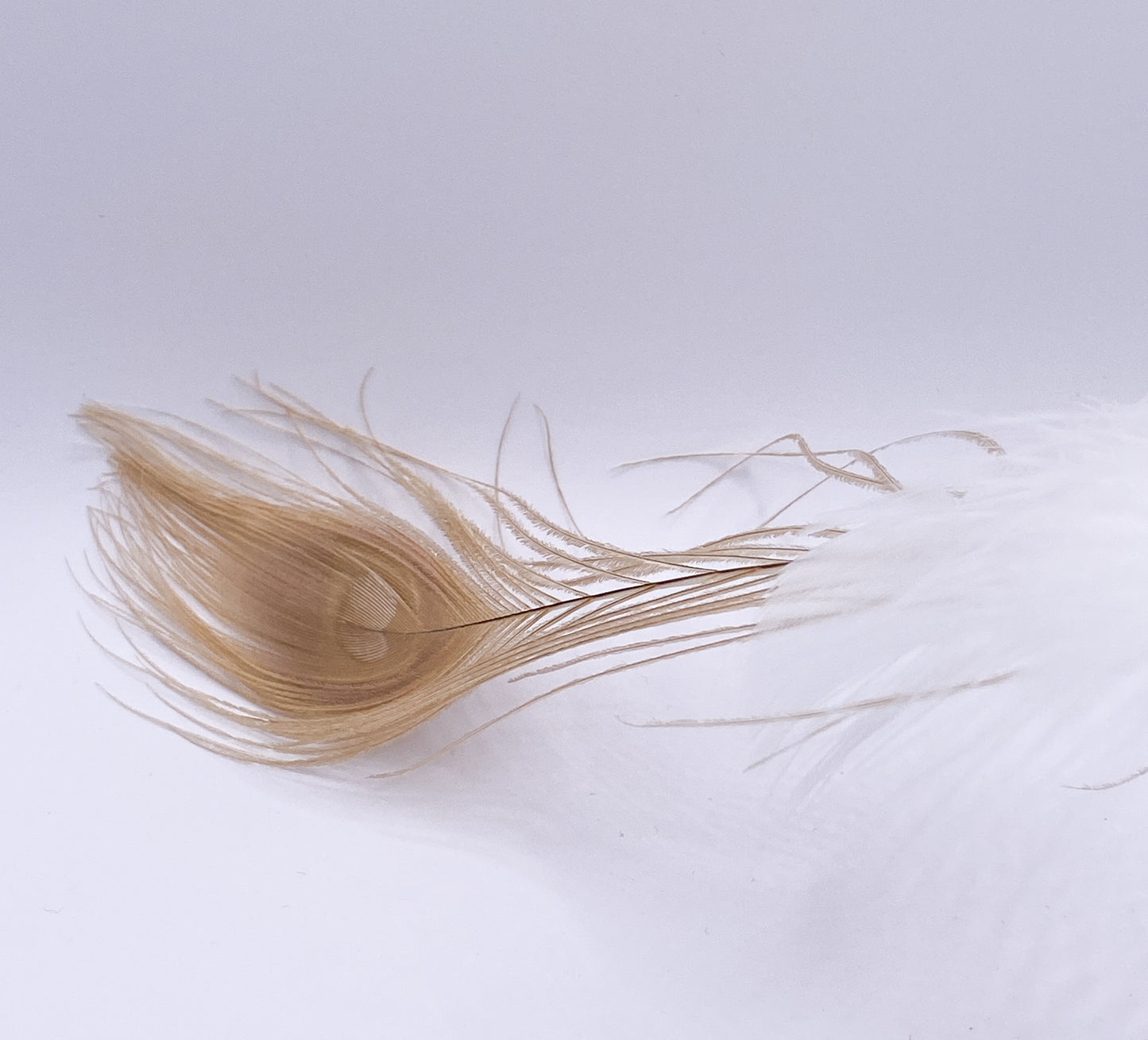 Baumschmuck-Christbaumschmuck-vogel-pfau-weihnachts-deko-ch-Galerie-Luechinger4