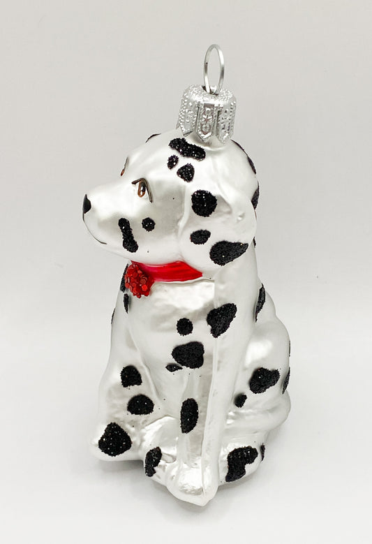 Sitzender Dalmatiner