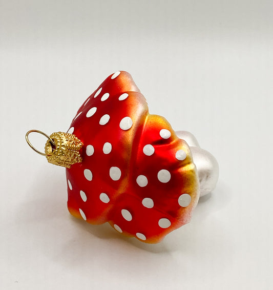 Zwillings-Fliegenpilz