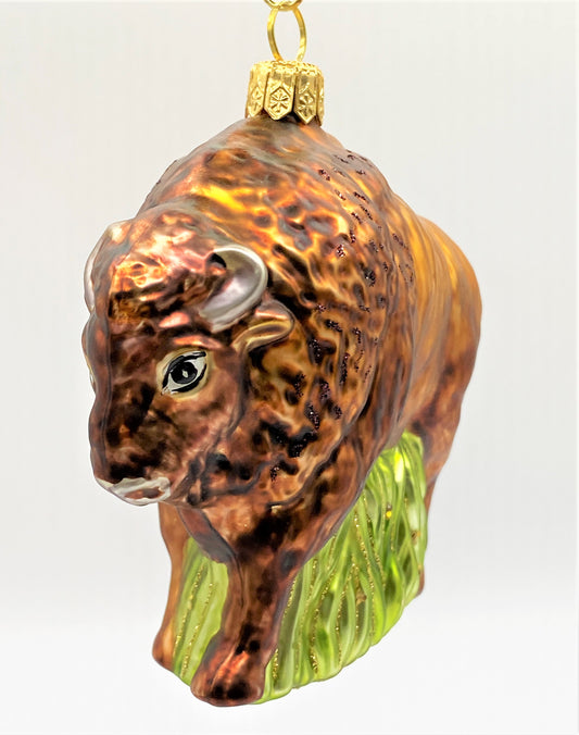 IMG_01883CTjEAx8fscmp