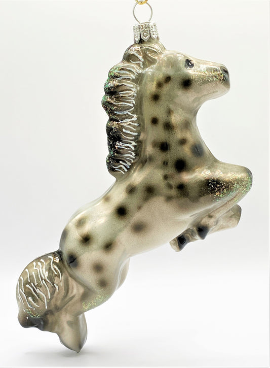 IMG_0223SHcio1QtWJNgd