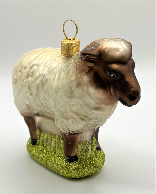 IMG_0367b0oQ7I2kO0mNr