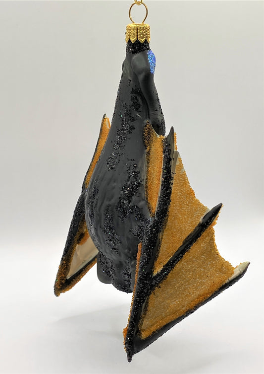 IMG_0442mUZjvkPYFJ0qY