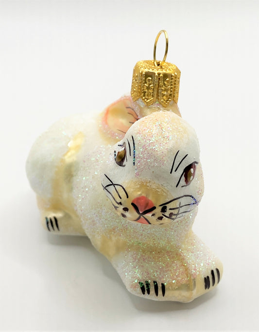 IMG_0454TpfqmPNyL94du