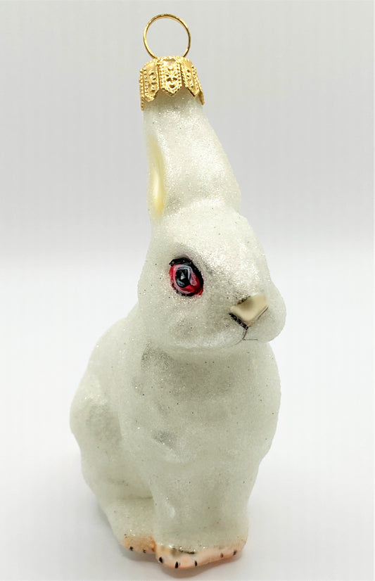 IMG_0458NUvaI6SSQcTEn