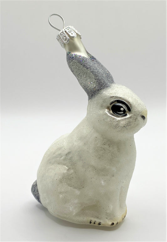 IMG_04617QTGVNabXwUKM