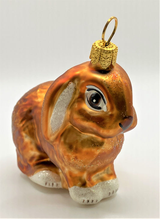 IMG_0466gHCYsHPwoYYQ0