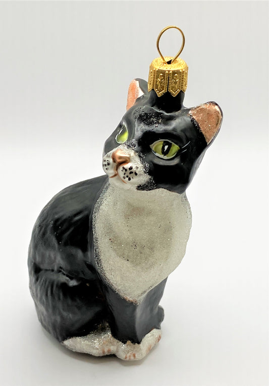 IMG_0485QnZ5ZS16RrhUX