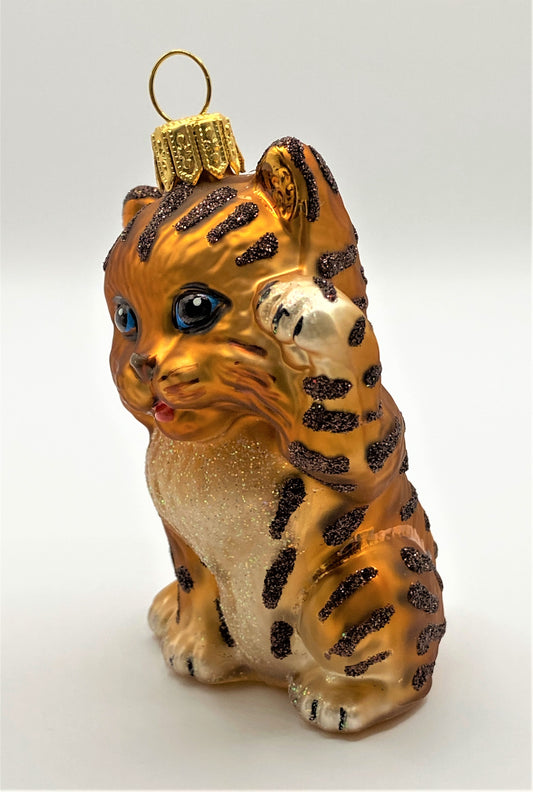 IMG_0497cJyAE1zgfJzSS