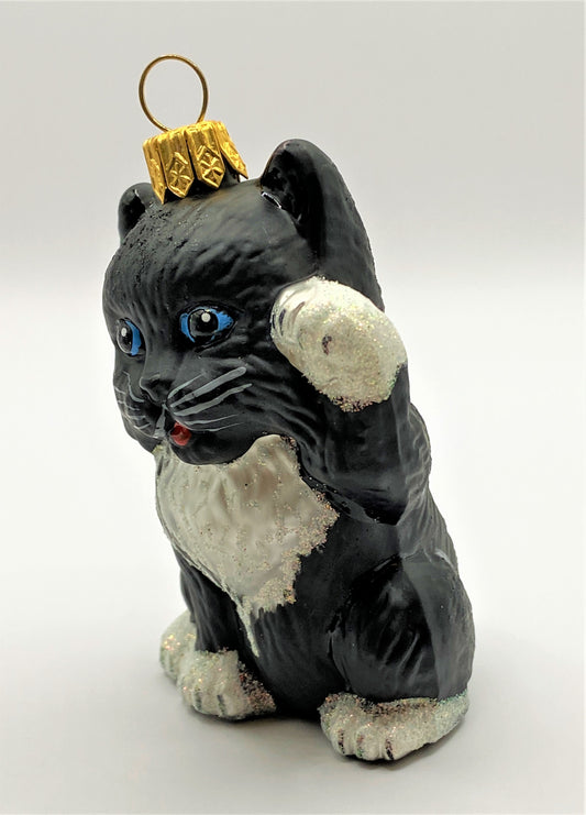 IMG_0501fsEG3s6eRS1rc