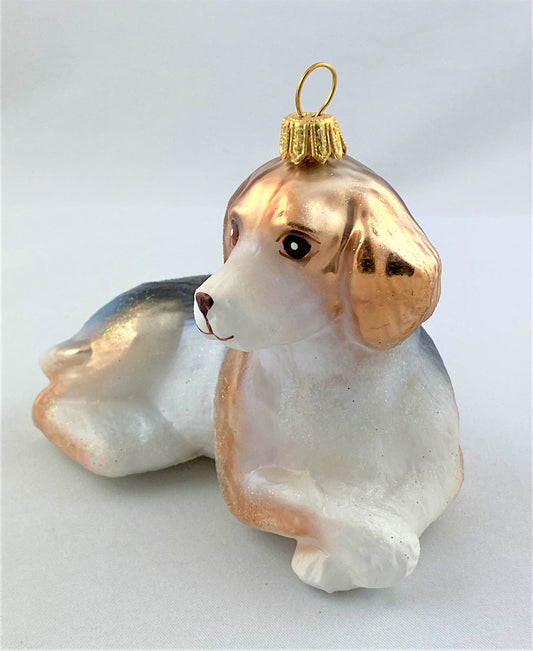 IMG_1129plVVlHUZO8m2E