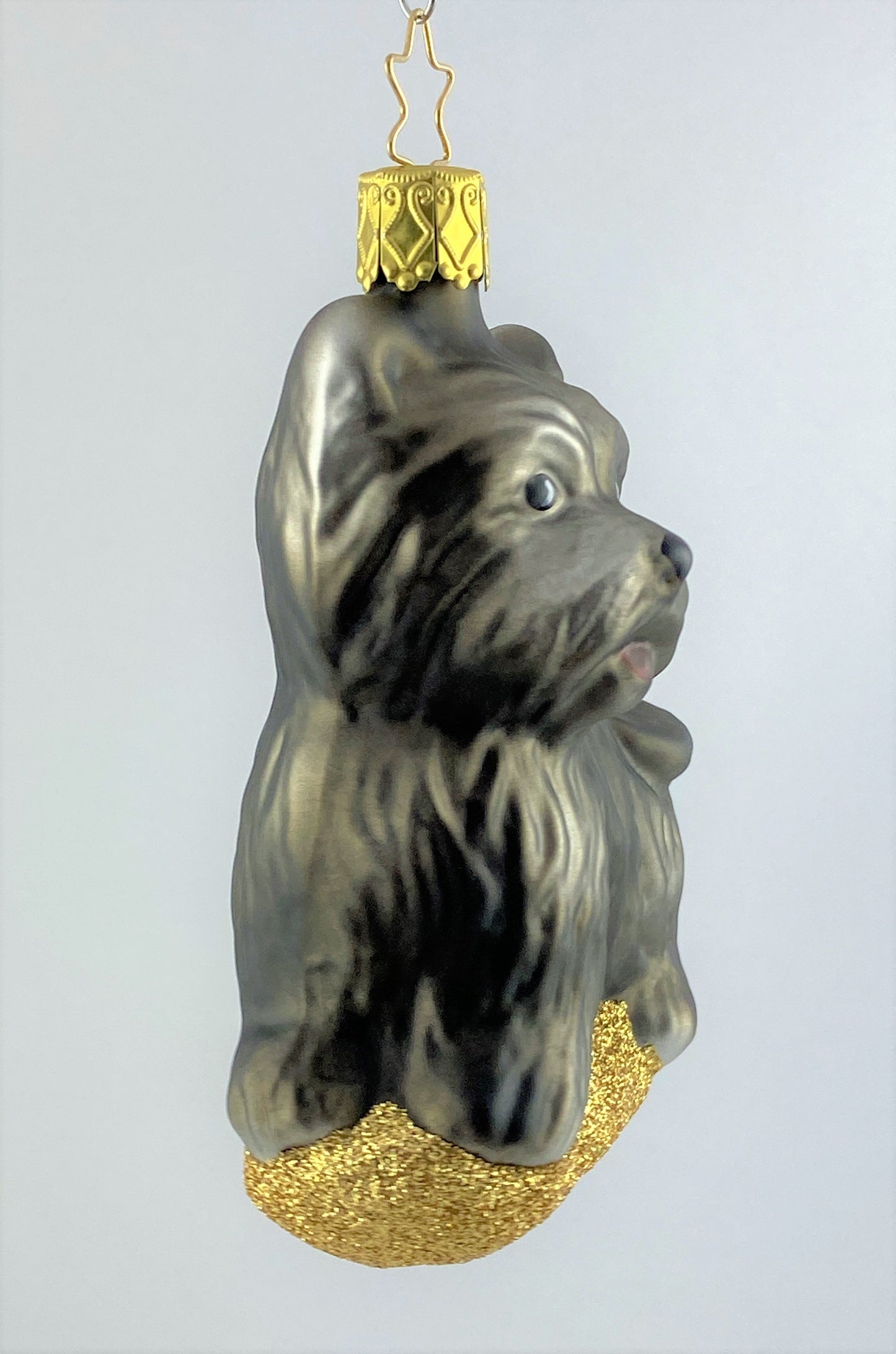 IMG_1137HPrp6xYoxAVPC