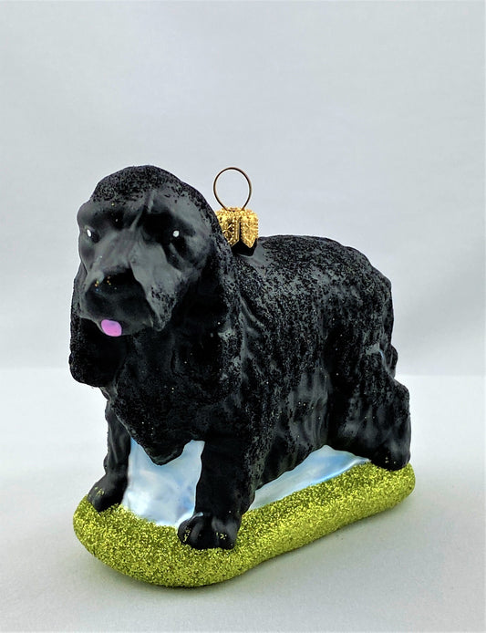 IMG_1169hsc2XFm1aPrVT