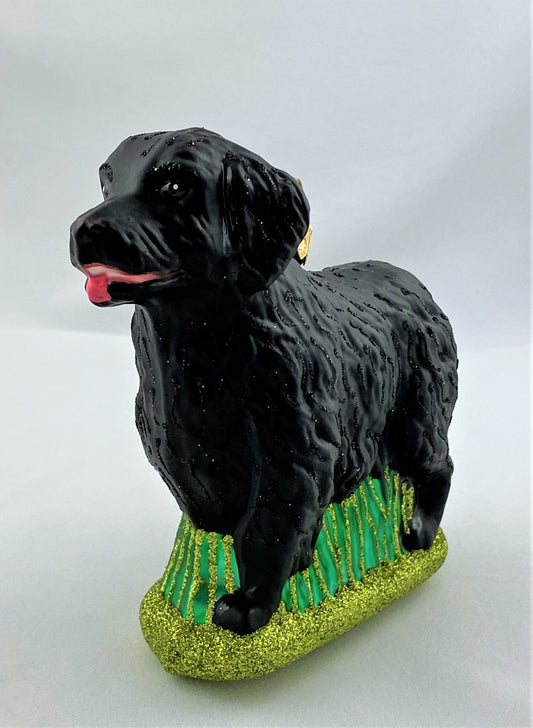 IMG_1178DvrVkTGALGkNX