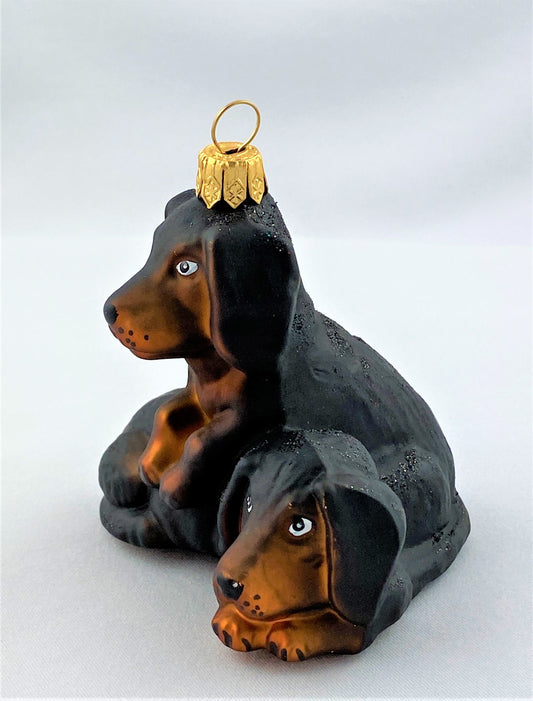 IMG_1196AXholXamWz0Cn