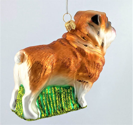 IMG_12029PxDQhTNBRn9j