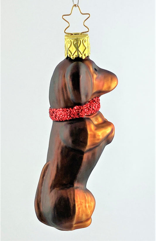 IMG_1210xNtjaCLZAxQLO