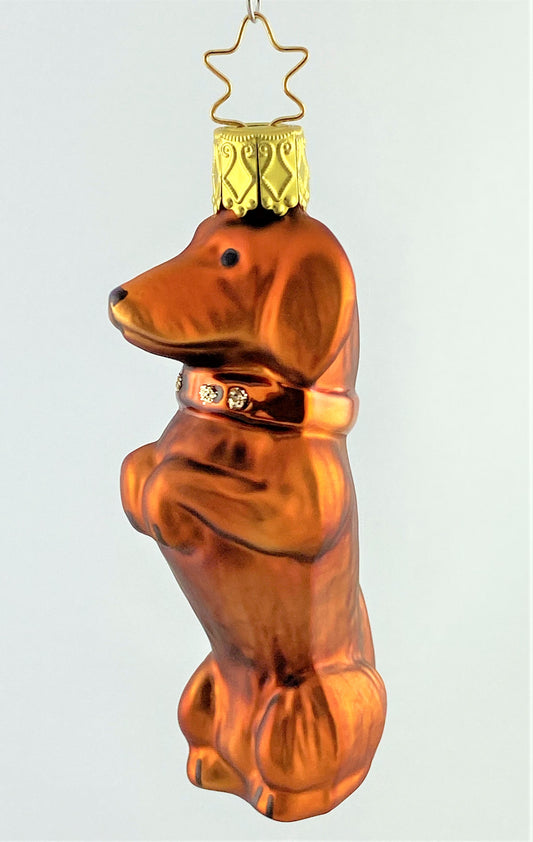 IMG_12156I5MTezaZh57p