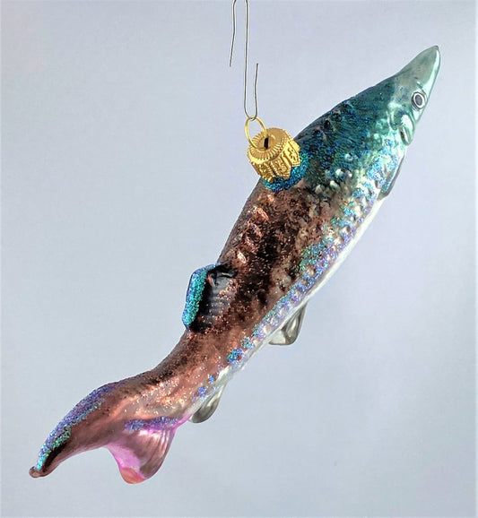 IMG_1311fWxeNqPXh3KxT