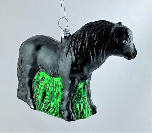 IMG_1378Nkp5QQVlyEOX9