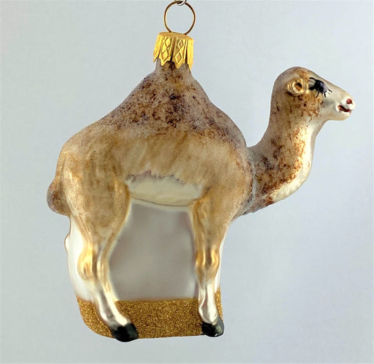 IMG_1392Wc7Gn7gwlUasI