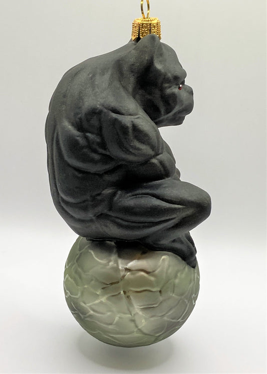 IMG_1647T3VYOmNPUUSur