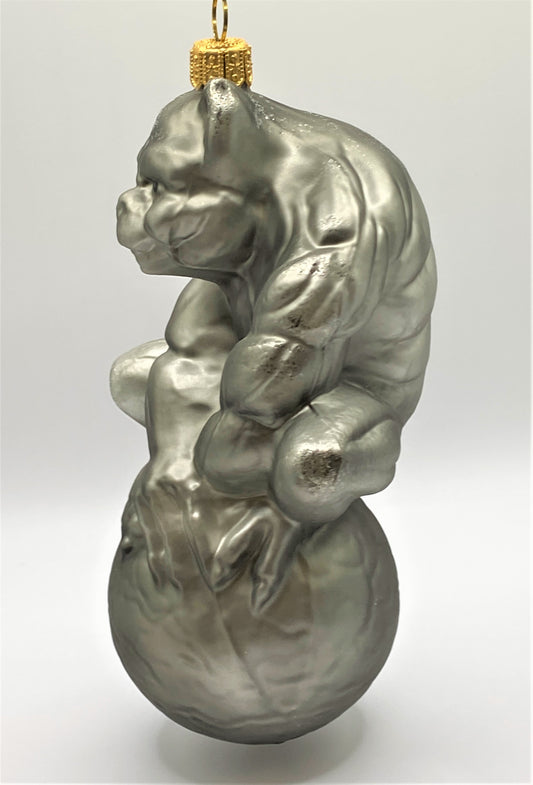 IMG_1652Vxo9qzrAouacv