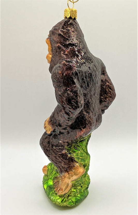 IMG_1656t0m7iP9Yu8QRl