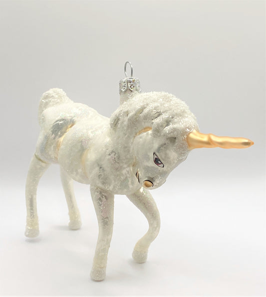 IMG_1681pUWfZN3jclant