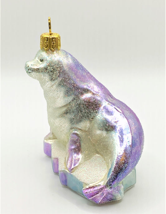 IMG_1808yZMCdNVpUeQgf