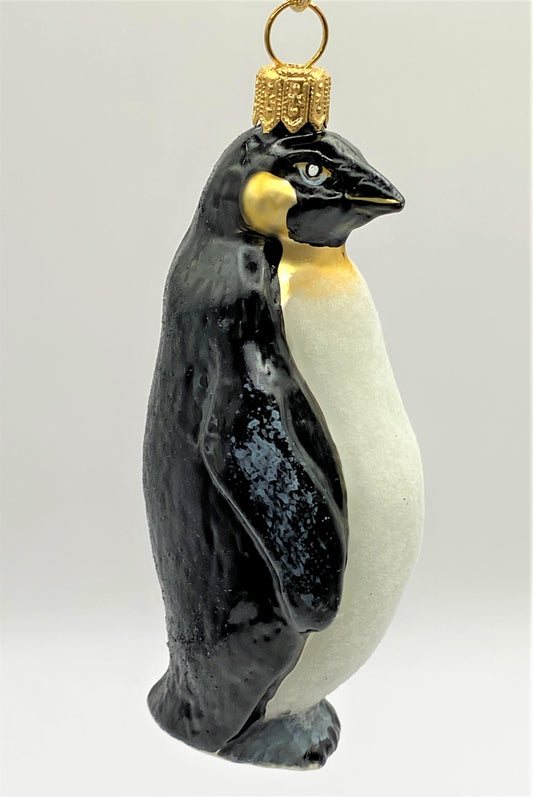 IMG_1856JiXXQmuG7Vysg