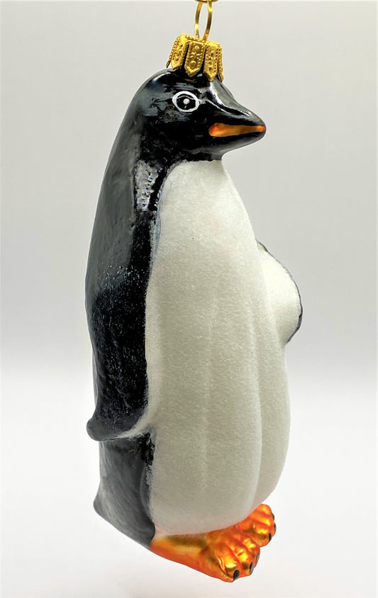 IMG_186640mxg0k2vcEVM