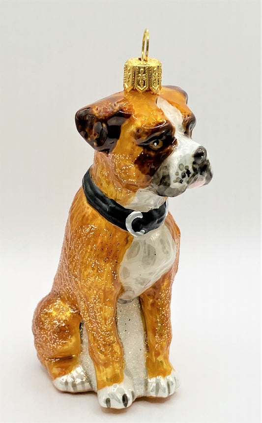 IMG_2463Slof59FryebKo