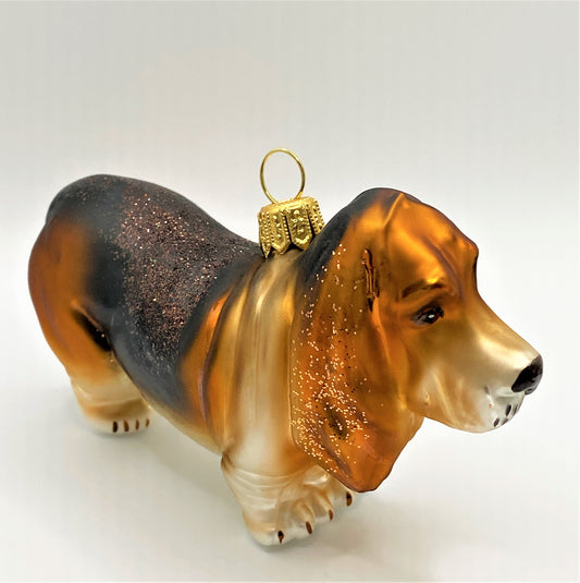 IMG_2467xiU2XMjMHLvIR