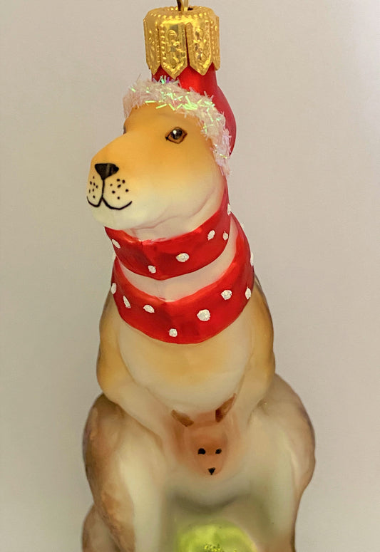 IMG_25335aPNaUscb2BDS