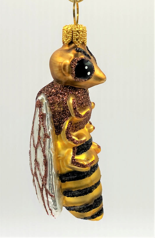 IMG_25385R6OAaqNiwGaR