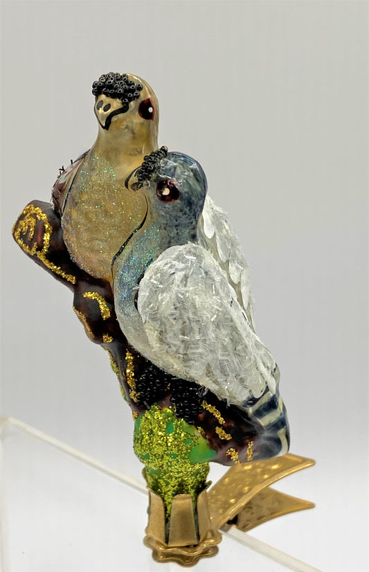 IMG_2579sKEsirHNGgQ5T