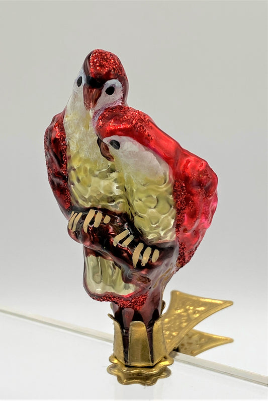 IMG_2583mxQ2UIDBC2N0P