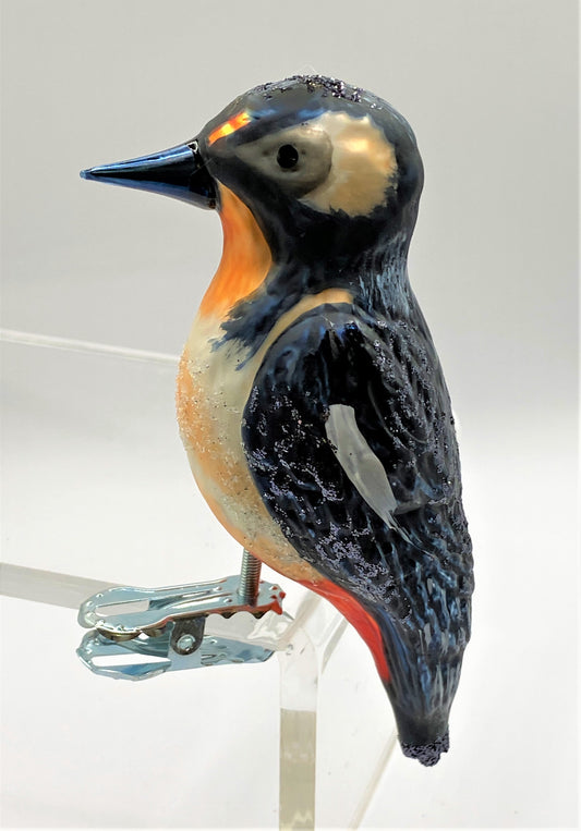 IMG_2604wmFwDZhi76YSS